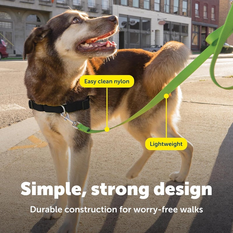 PetSafe Leash, 3/4" x 6', Medium, Apple Green - Image 4