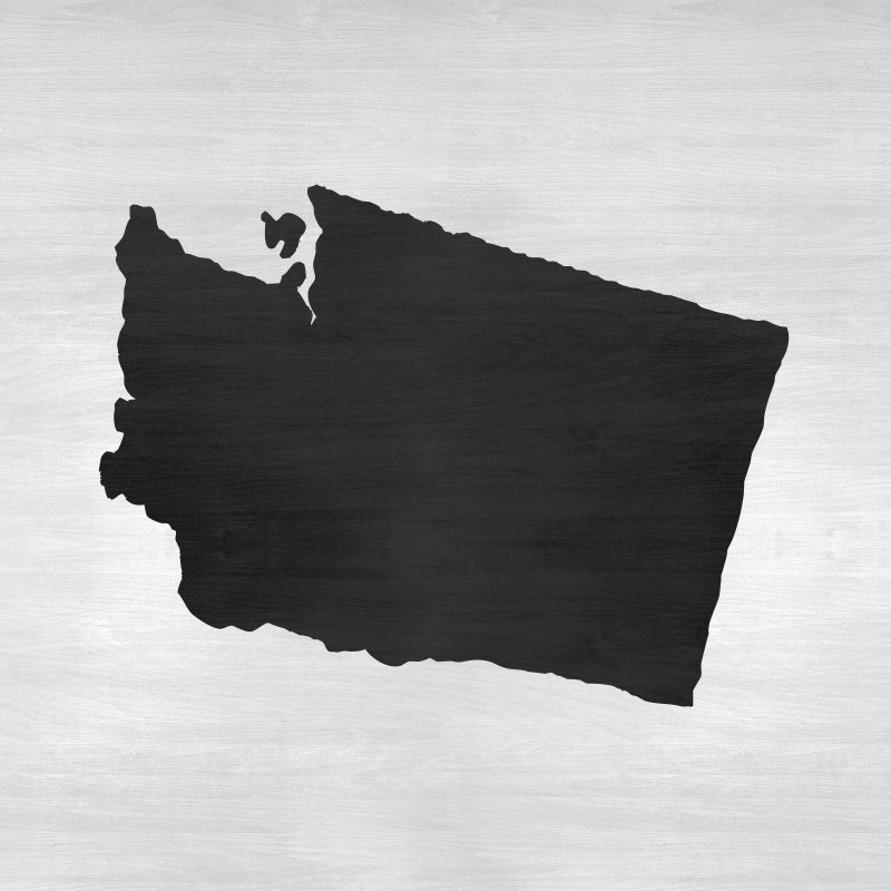 Stencil Revolution Washington State Stencil - Craft Iconic USA Landmarks and Symbols Easily, Paint Stencil, Fabric - Image 4
