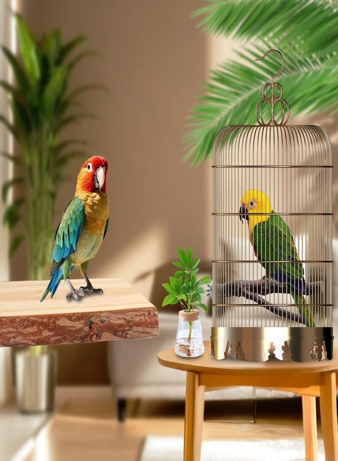BBjinronjy Bird Toys Parakeet Perch Budgie Perch Wood Stand Fork Toys Multi-Branch Perch Platform Toy for Small Conures,Cockatiel,Parrotlet,Lovebird,Parrot,Finches - Image 2