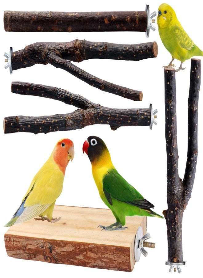 BBjinronjy Bird Toys Parakeet Perch Budgie Perch Wood Stand Fork Toys Multi-Branch Perch Platform Toy for Small Conures,Cockatiel,Parrotlet,Lovebird,Parrot,Finches - Image 1