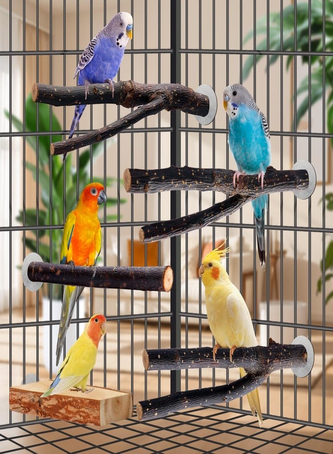 BBjinronjy Bird Toys Parakeet Perch Budgie Perch Wood Stand Fork Toys Multi-Branch Perch Platform Toy for Small Conures,Cockatiel,Parrotlet,Lovebird,Parrot,Finches - Image 3