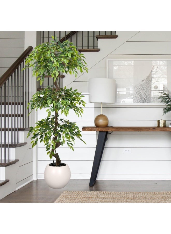 ميراج بوتانيكس 180 سم كبيرة Ficus الأشجار الاصطناعية في وعاء أبيض ، شجرة حرير مزيفة طويلة 6 أقدام مع الجذع المنحني الطبيعي ، شجرة Ficus الزائفة الخصبة للديكور المنزلي الداخلي ، غرفة المعيشة ، المكتب والفناء - Image 4