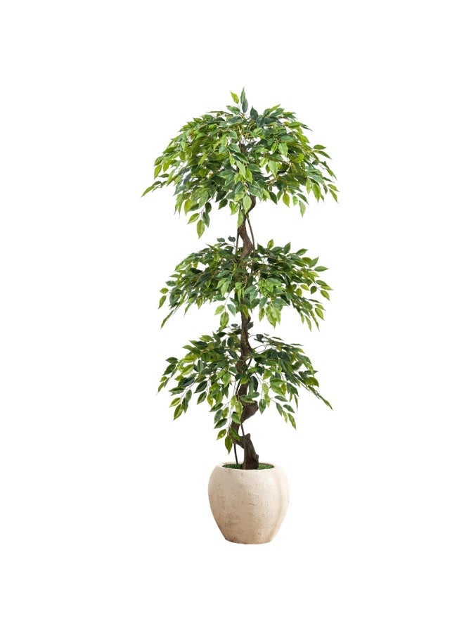 MirageBotanics 180cm Large Ficus Artificial Trees in White Pot, 6ft Tall Fake Silk Tree with Natural Curved Trunk, Lush Faux Ficus Tree for Indoor Home Decor, Living Room, Office & Patio - Image 1