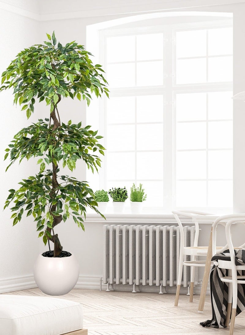 MirageBotanics 180cm Large Ficus Artificial Trees in White Pot, 6ft Tall Fake Silk Tree with Natural Curved Trunk, Lush Faux Ficus Tree for Indoor Home Decor, Living Room, Office & Patio - Image 2