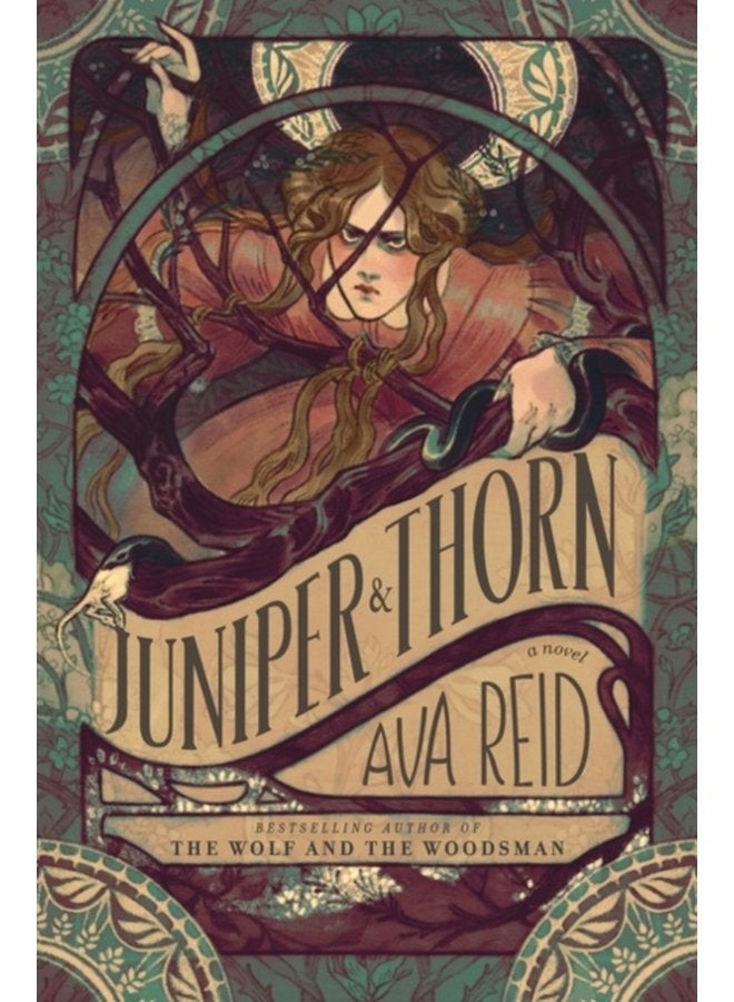 شجرة العرعر: رواية - غلاف ورقي