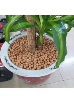 Premium German LIAFLOR decorative gravel 10 liters  - Image 3