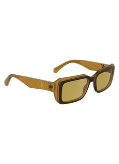 Calvin Klein Jeans FULL RIM BIO INJ-G820 INJECTED CALVIN KLEIN JEANS SUN CKJ24620S 5318 (210) BROWN/AMBER  - Image 3