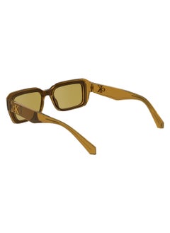 Calvin Klein Jeans FULL RIM BIO INJ-G820 INJECTED CALVIN KLEIN JEANS SUN CKJ24620S 5318 (210) BROWN/AMBER  - Image 5