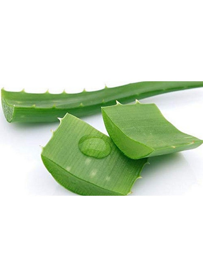 neotea مسحوق نيوتيا كاتراي 50 جرام (عبوة من 10) - Image 2