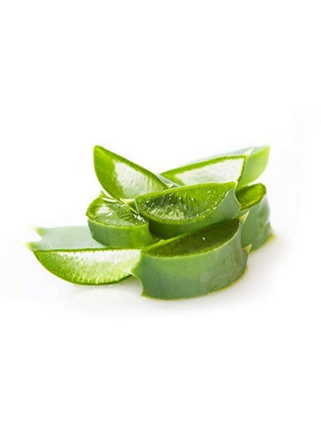 neotea مسحوق نيوتيا كاتراي 50 جرام (عبوة من 10) - Image 3