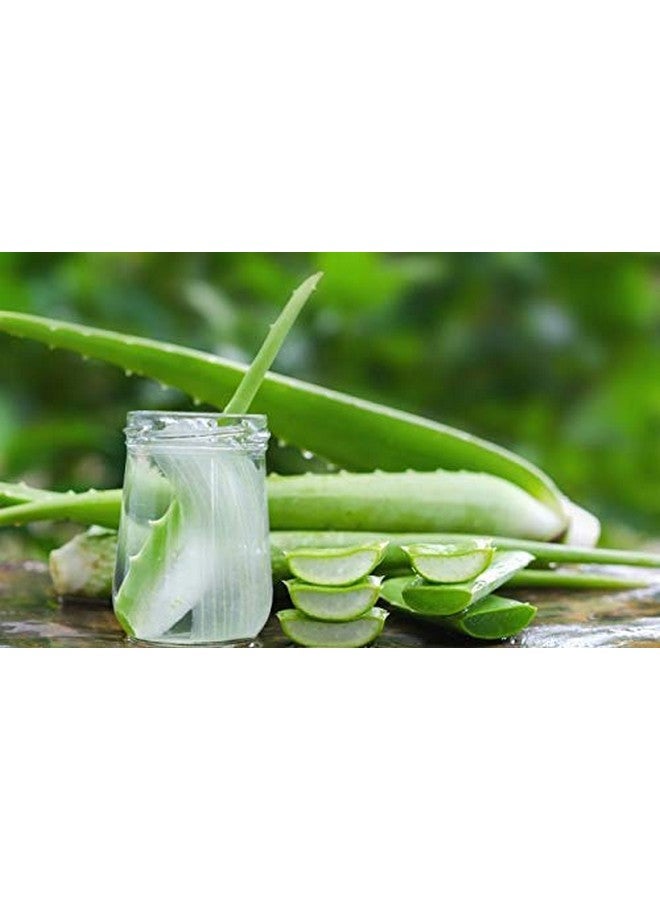 neotea مسحوق نيوتيا كاتراي 50 جرام (عبوة من 10) - Image 5