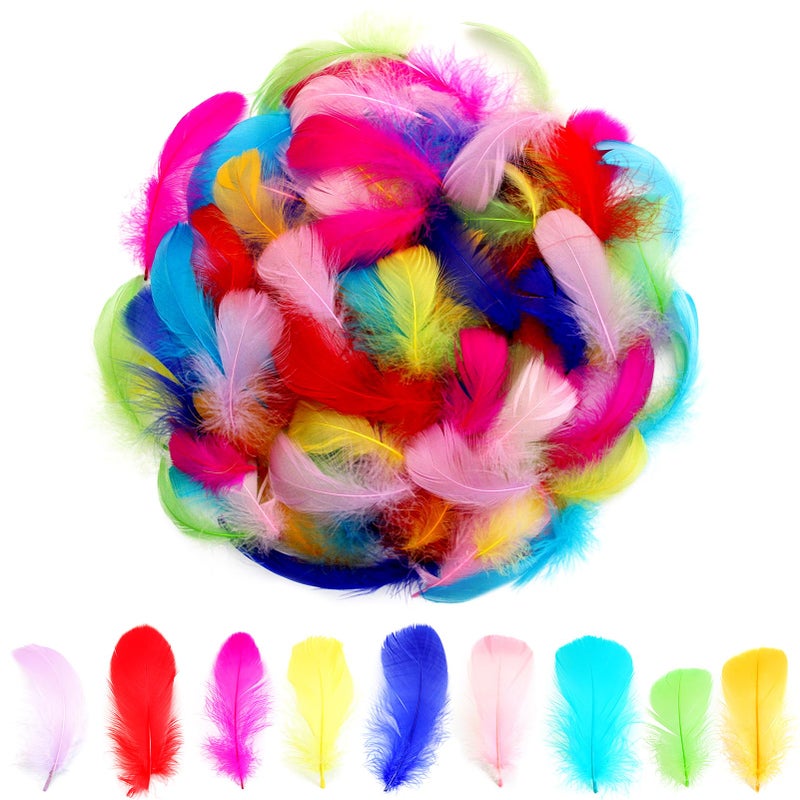 300pcs Colorful Feathers 23 Inches Bulk Feathers for Crafting Dream Catcher Accessories Art Projects DIY Crafting Handi Crafts Party Decoration Colorful