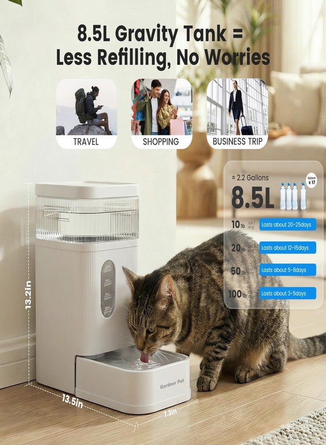 Gardner Pet Automatic Dog Water Dispenser Gravity Waterer (White, 8.5L) - Image 2