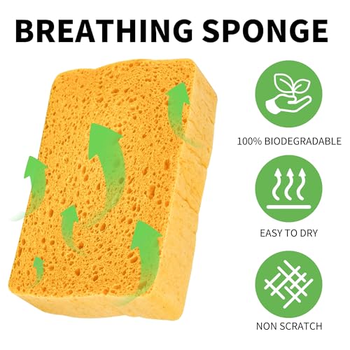 kickleen 4 Pack Compostable Thicker Pop-Up Sponges - Expanding, Non-Scratch, Plant-Based Dish Cellulose Sponges Car Wash Sponge - Image 4