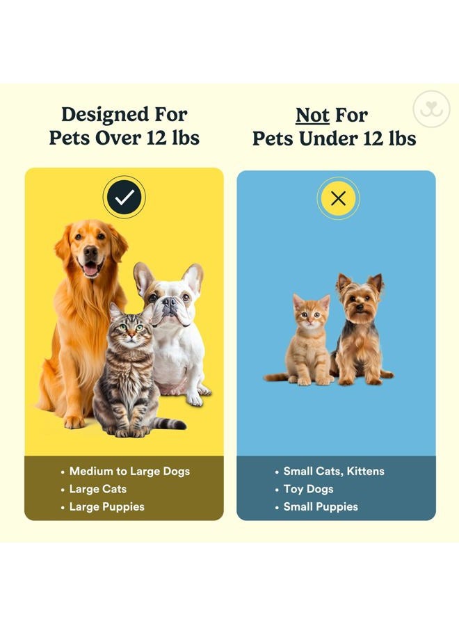 Jasper Dog Toothbrush, 360º Dog Tooth Brushing Kit, Cat Toothbrush, Dog Teeth Cleaning, Dog Finger Toothbrush, Use with Dog Toothpaste - Clear 2-Pack - Image 5