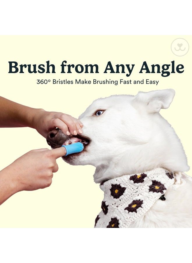 Jasper Dog Toothbrush, 360º Dog Tooth Brushing Kit, Cat Toothbrush, Dog Teeth Cleaning, Dog Finger Toothbrush, Use with Dog Toothpaste - Clear 2-Pack - Image 4