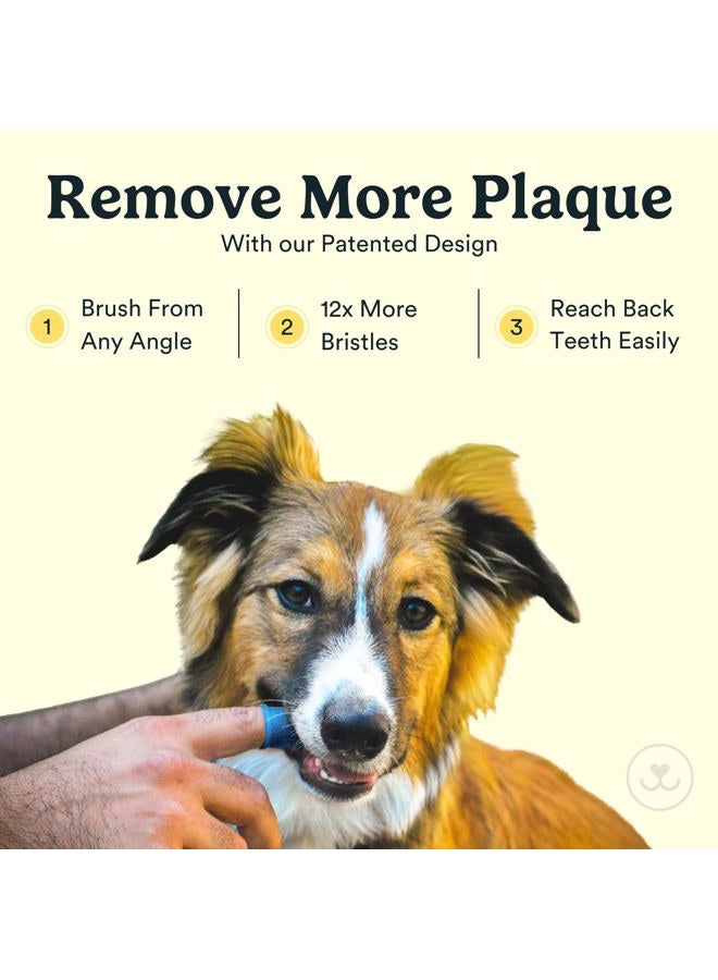 Jasper Dog Toothbrush, 360º Dog Tooth Brushing Kit, Cat Toothbrush, Dog Teeth Cleaning, Dog Finger Toothbrush, Use with Dog Toothpaste - Clear 2-Pack - Image 2