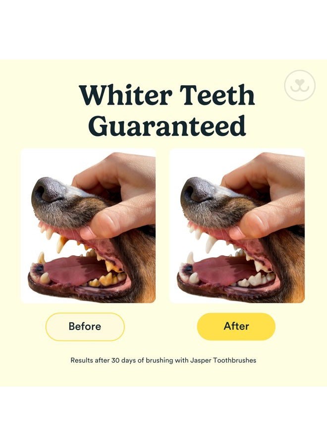 Jasper Dog Toothbrush, 360º Dog Tooth Brushing Kit, Cat Toothbrush, Dog Teeth Cleaning, Dog Finger Toothbrush, Use with Dog Toothpaste - Clear 2-Pack - Image 3