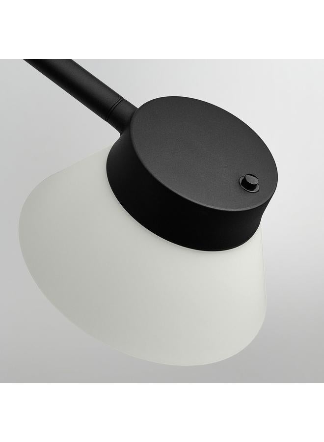 Green Tiger Desk Lamp, Black/White - Image 4