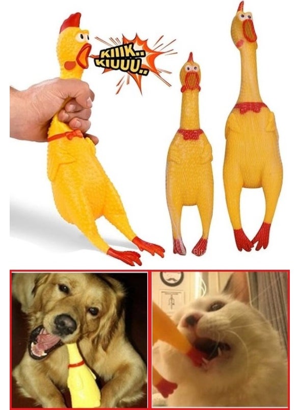 Biton Wholesale Sound Rooster Fun Cockerel Toy for Dogs and Cats 28 cm - pzsku/Z6254107632B08A73152FZ/45/_/1736972127/d783bf3b-27d7-4502-a2fc-6955f44cee6e