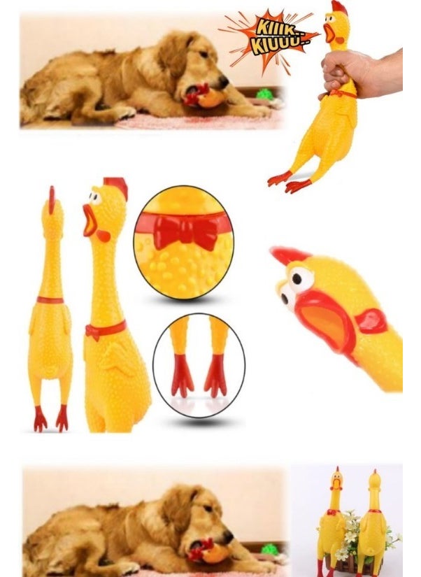 Biton Wholesale Sound Rooster Fun Cockerel Toy for Dogs and Cats 28 cm - pzsku/Z6254107632B08A73152FZ/45/_/1736972135/2a77978c-397f-4241-869a-6842172f9b7b