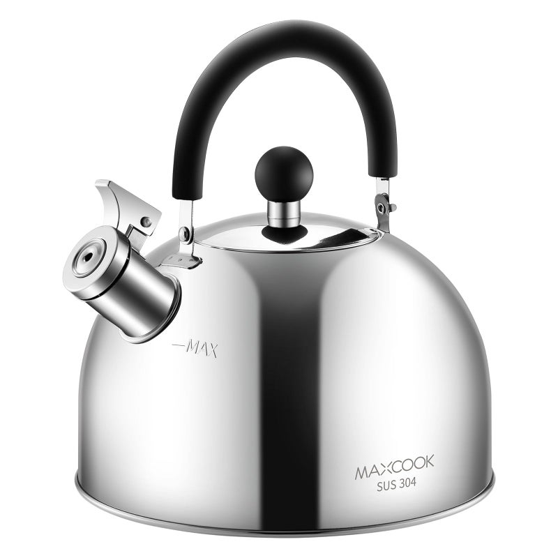 MAX COOK MAXCOOK 304 Stainless Steel Whistling Tea Kettle 3.17 Quart/3L Tea Pot, Suitable to Boiling Water & Tea on Induction Stove, Gas Stove Top - Image 1