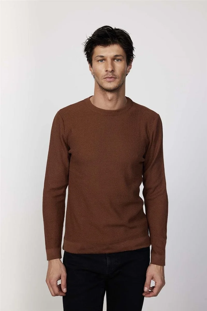 Tudors Slim Fit Crew Neck Patterned Tan Men's Sweater