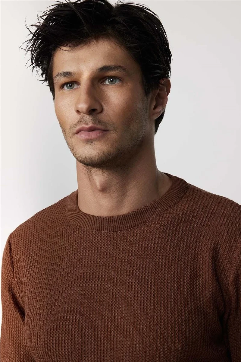 Tudors Slim Fit Crew Neck Patterned Tan Men's Sweater