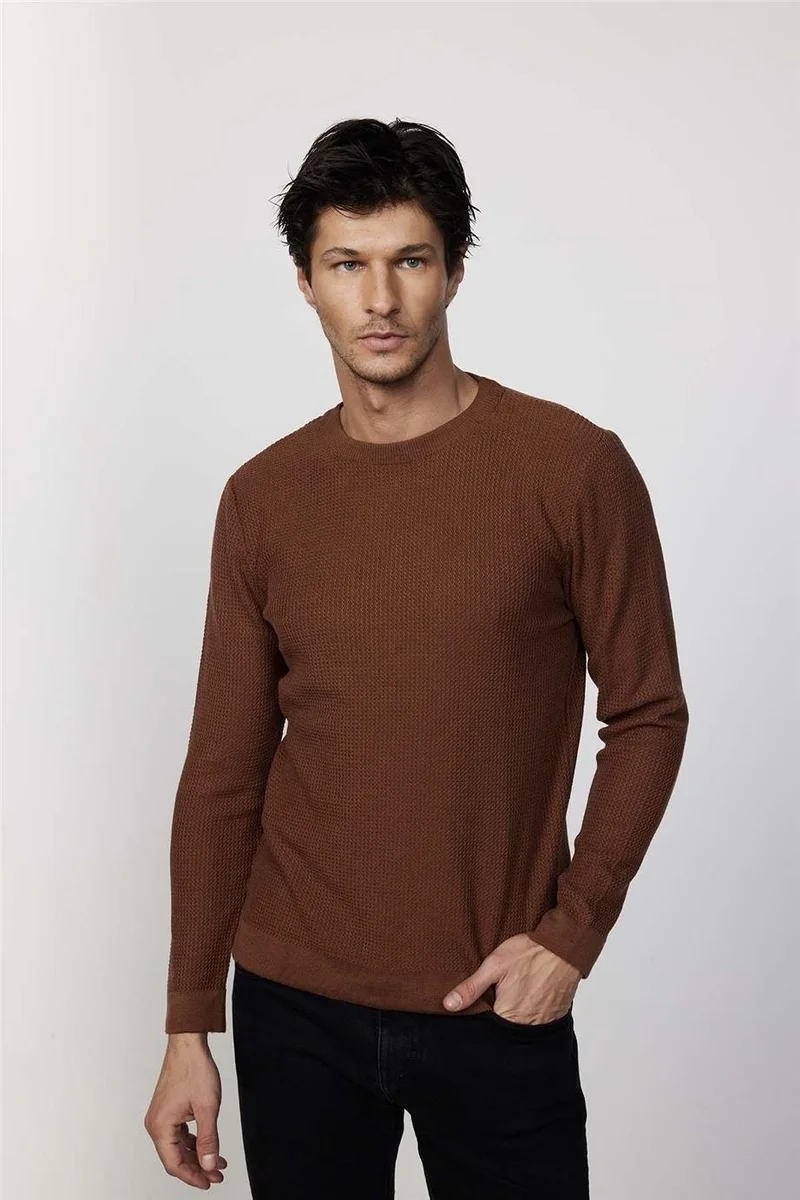 Tudors Slim Fit Crew Neck Patterned Tan Men's Sweater