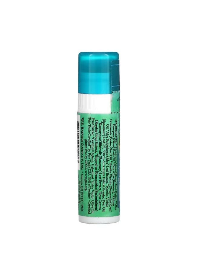 Badger Company Cocoa Butter Lip Balm Cool Mint 0.25 oz 7 g  - Image 2