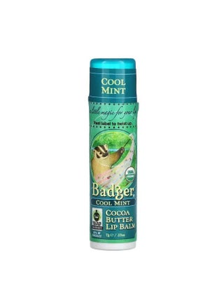 Cocoa Butter Lip Balm Cool Mint 0.25 oz 7 g - pzsku/Z6255DE76FE9DC5E3C05EZ/45/_/1679543391/c1016c7c-d605-4dc9-8091-1d5309ba2f1a