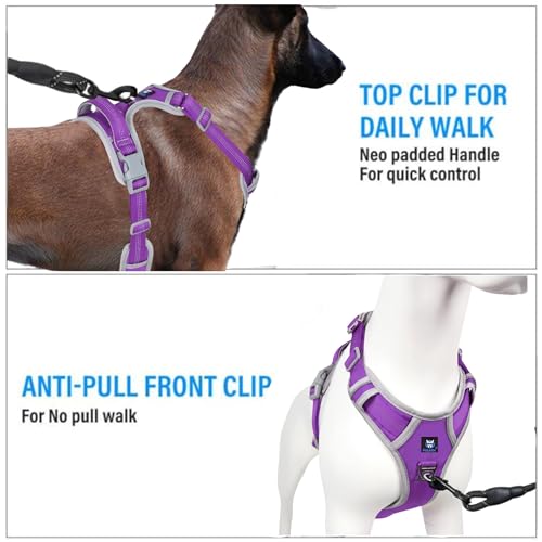 HANK Dog Harness | 3M Reflective Strap | Dog Body Vest for Medium Dogs | Soft Comfortable Padded | Anti Pull Harness for Walking, Training (Violet - Grey - M (14-22Kg) - Image 3