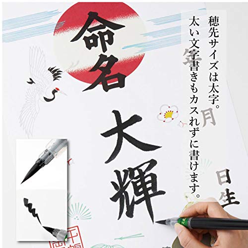 Pentel Fude Brush Pen, Bold (XFL2B) - Image 5