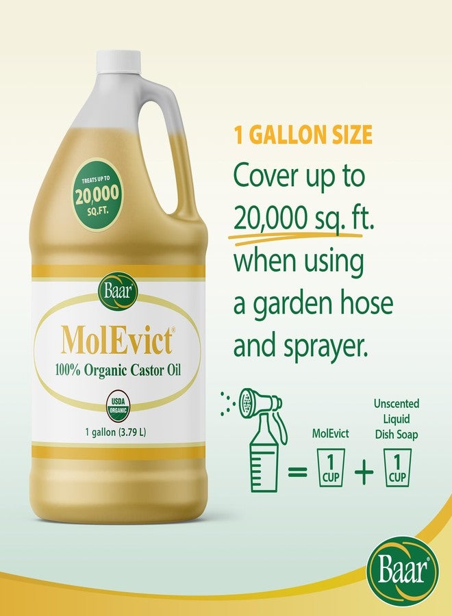 Baar - MolEvict, 100% Organic Castor Oil Formula for Powerful Home and Garden Protection, Up to 20,000 Sq. Ft., Safe to Use Around Plants, Pets and Family, 1 Gallon - Image 5