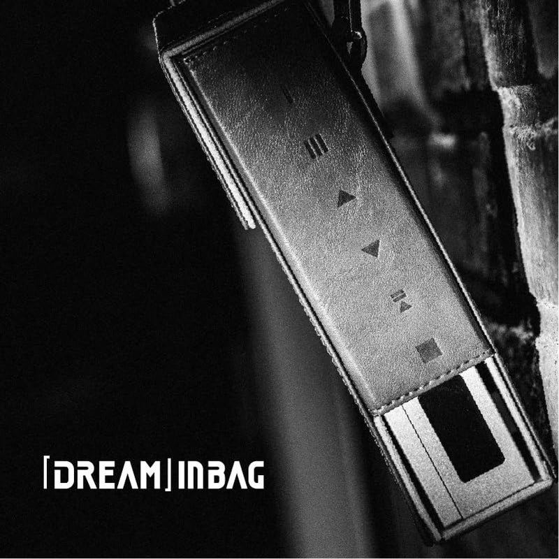 Moondrop INBAG Protective Case for Discdream 2 series Storage Bag - Image 2