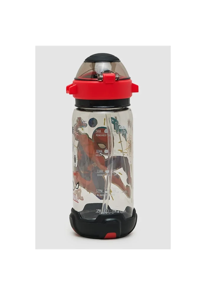 R&b  Spider-Man Print Water Bottle  | Best Price UAE