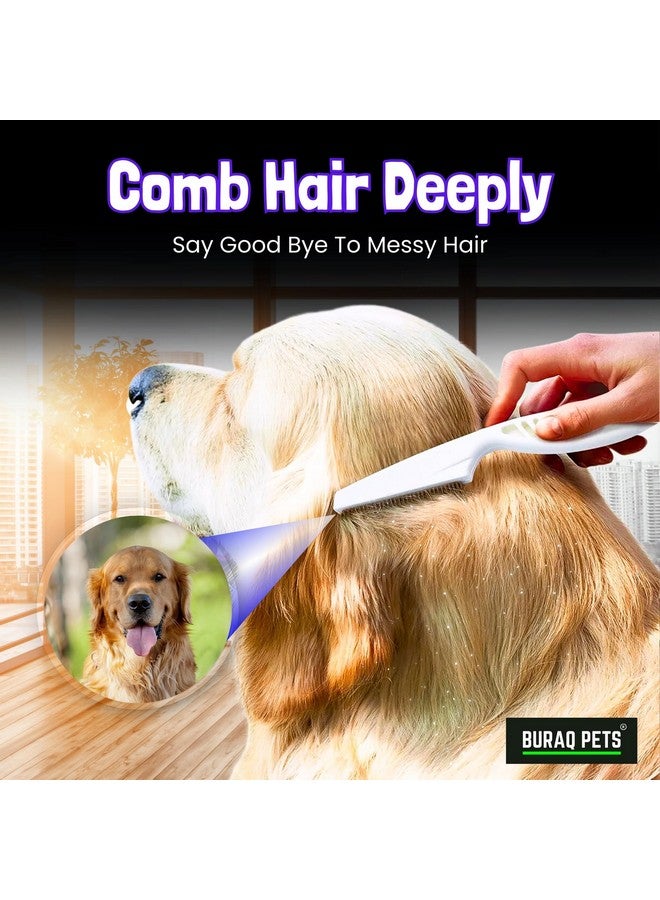 Buraq Pets Flea Comb for Cat & Dog For Removing Fleas, Tick & Lice, Dog Comb, Cat Comb, Grooming Tool for Pets (small) - Image 2