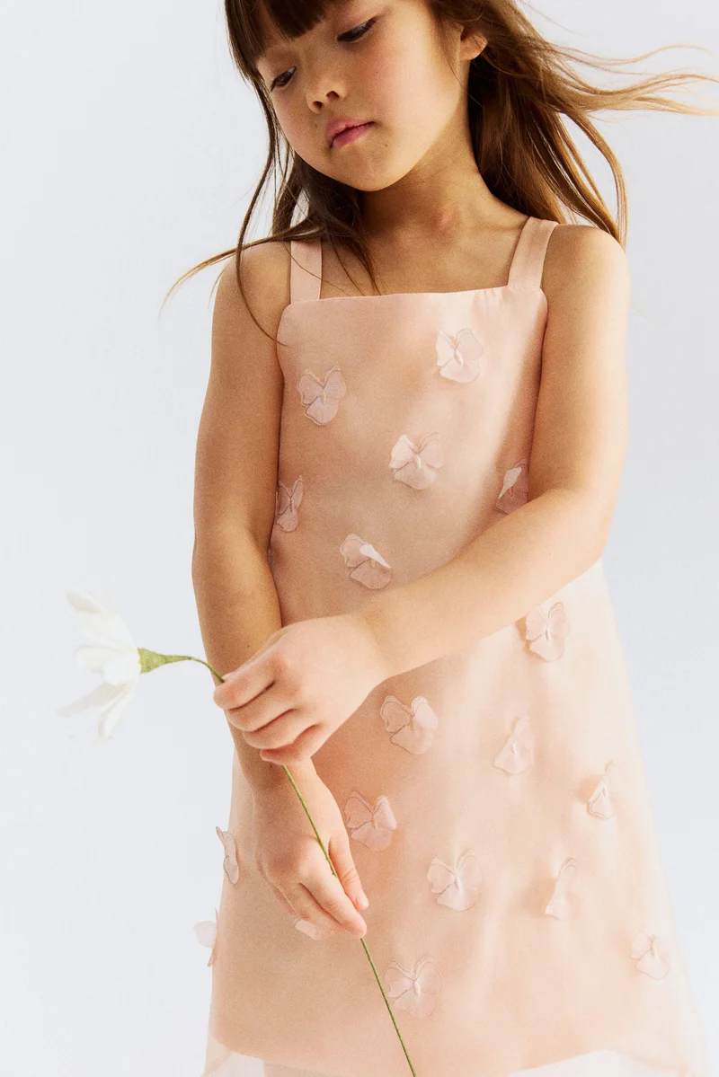 اتش اند ام فستان من قماش الأورغانزا المزخرف