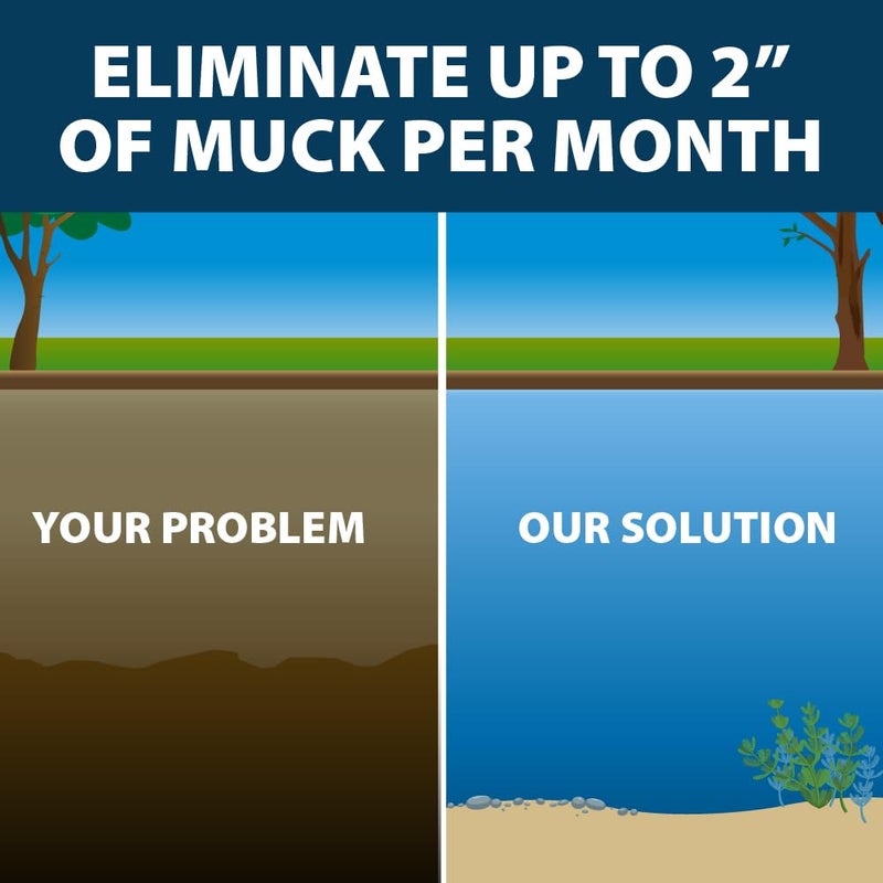 airmax MuckAway Natural Beneficial Bacteria for Outdoor Ponds & Lakes, Muck, Sludge & Noxious Odor Solution, Easy to use Enzyme Tablets, Cleaner Beach & Shoreline, Fish, Pet & Wildlife Safe, 8 Scoops - Image 4