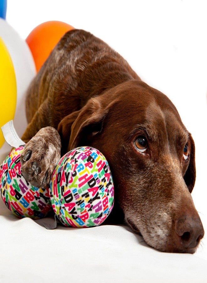 Midlee Plush Birthday Balls Dog Toy- Set of 3 (Large) - Image 5