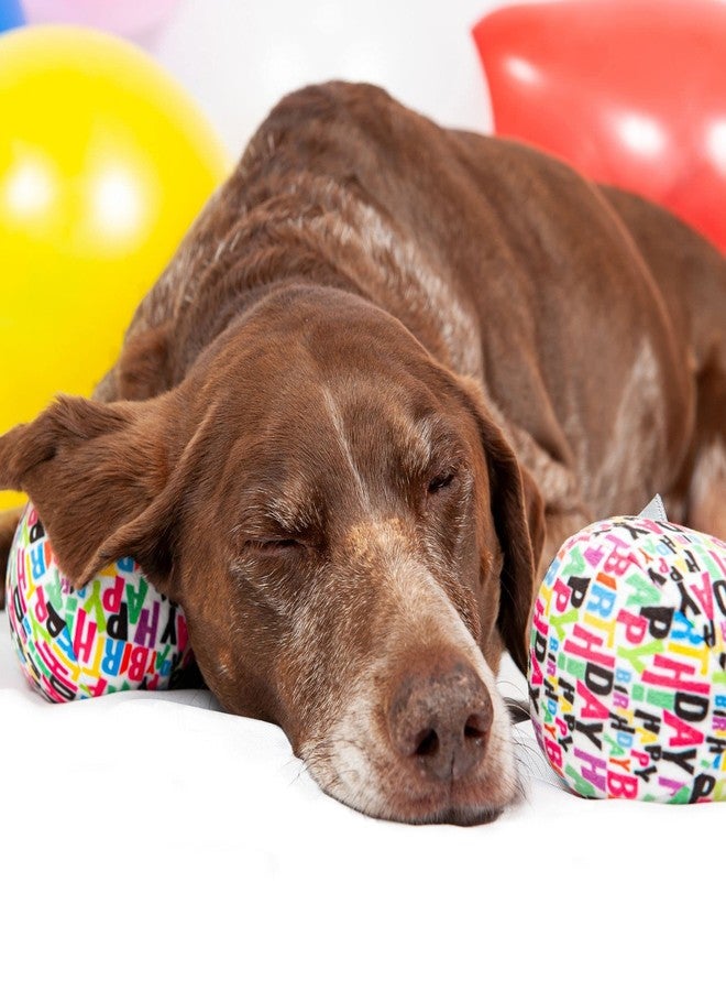 Midlee Plush Birthday Balls Dog Toy- Set of 3 (Large) - Image 4