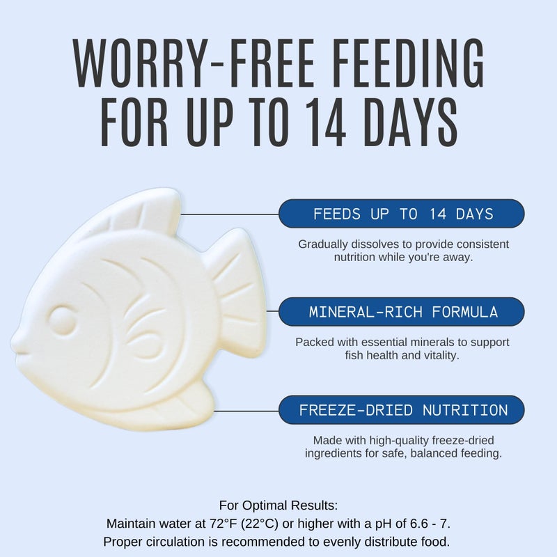 Atlantic Rush Vacation Feeder for Aquarium - 14 Day Feeder Block - Slow Release Fish Food for Betta, Goldfish & Tropical Fish - Aquatic Pet Tank Food (1 Pack of 2 Blocks) - Image 2