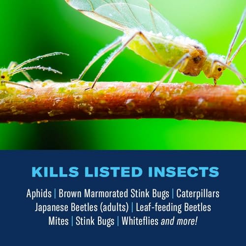 BioAdvanced Complete Brand Insect Killer for Soil and Turf HPX I, Ready-to-Spray, 32FOZ, 5,333 Sq Ft - Image 2