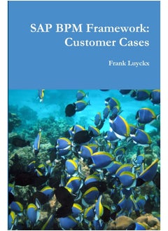 SAP BPM Framework: Customer Cases