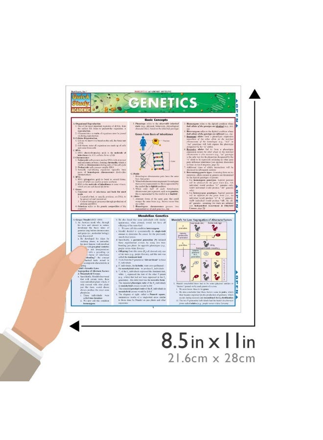 دراسة سريعة في علم الوراثة - Image 4