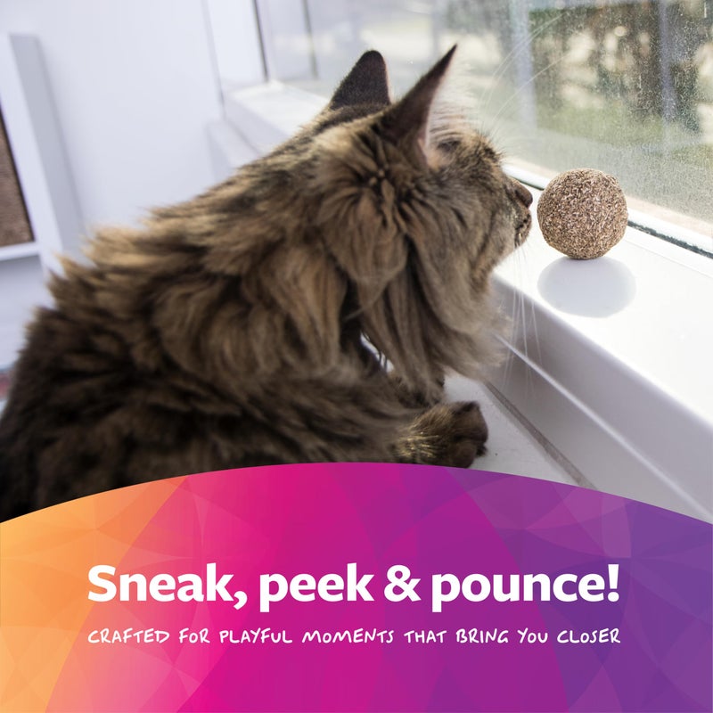 SmartyKat Catnip Kiss Compressed Cat Toy Ball, Mess-Free Concentrated Catnip Power for Chase & Pounce Play for Cats & Kittens, One Size - Image 5