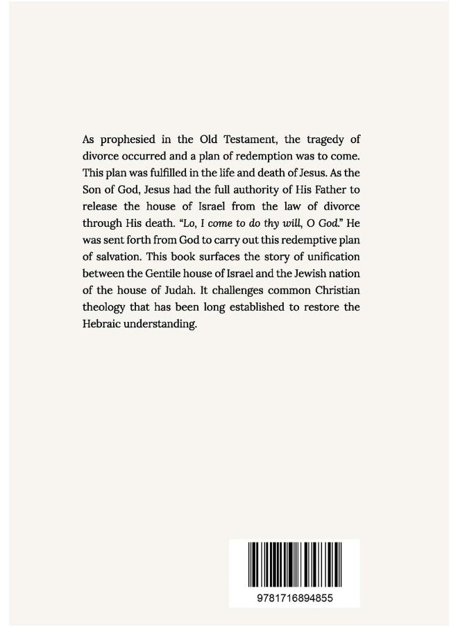 The Lost Sheep of the House of Israel: Overcoming the greatest Biblical tragedy  - Image 2