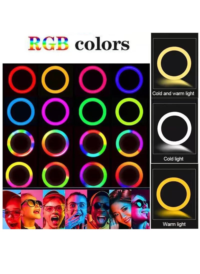 DIGI CORE - 10 inch RGB Ring Light With Tripod Stand 2.1 Meter Height RGB Selfie Light And 360° Phone Holder For Live Broadcast Youtube Instagram And Tik Tok Video Making - Image 1