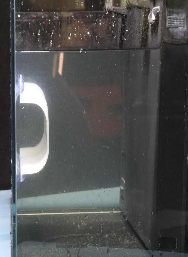 ONTEN Aquarium Betta Tunnel, Exercise, and Relaxation for Your Fish (White) - Image 5