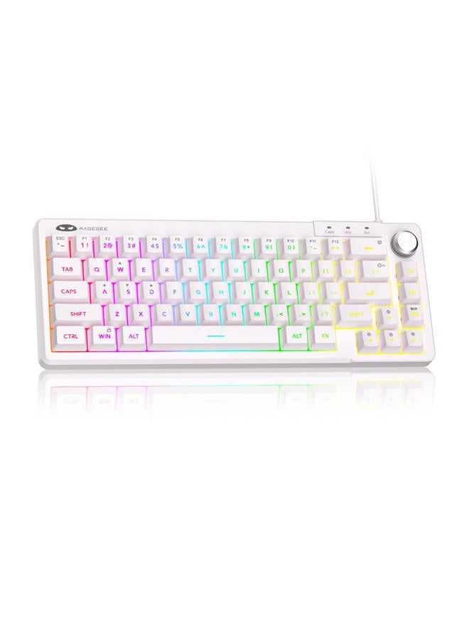 MageGee Mini 60% Gaming Keyboard, RGB Backlit 66 Key Ultra-Compact Keyboard, TS68 Ergonomic Waterproof Mechanical Feeling Office Computer Keyboards for PC, MAC, PS4, Xbox ONE Gamer - Image 1